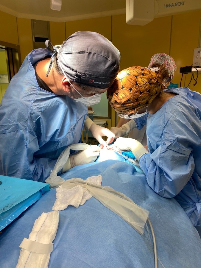 Equipe medica - Estrazione denti in anestesia totale