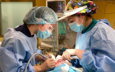 Dentista e paziente autistico: la soluzione dell’anestesia totale a Roma e Milano